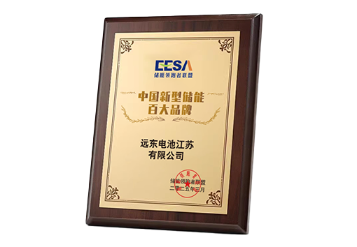 中國(guó)新型儲(chǔ)能百大品牌