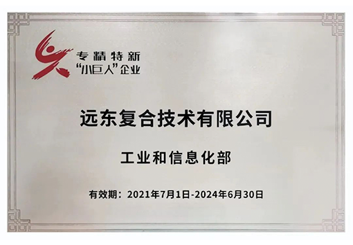 遠東復合技術專精特新小巨人企業(yè)